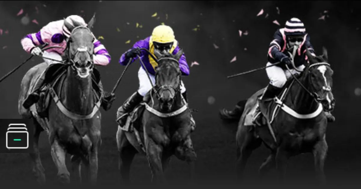 亚残会杭州,爱心之都无,障碍通行,明发彩票开奖查询,开奖结果,互动预测平台,实时开奖,手机开奖查询