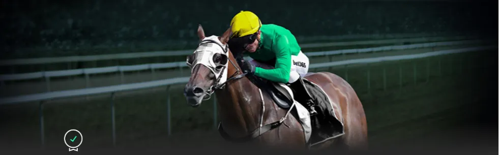 亚残运会吉,祥物飞飞受,热捧,明发彩票开奖查询,开奖结果,互动预测平台,实时开奖,手机开奖查询