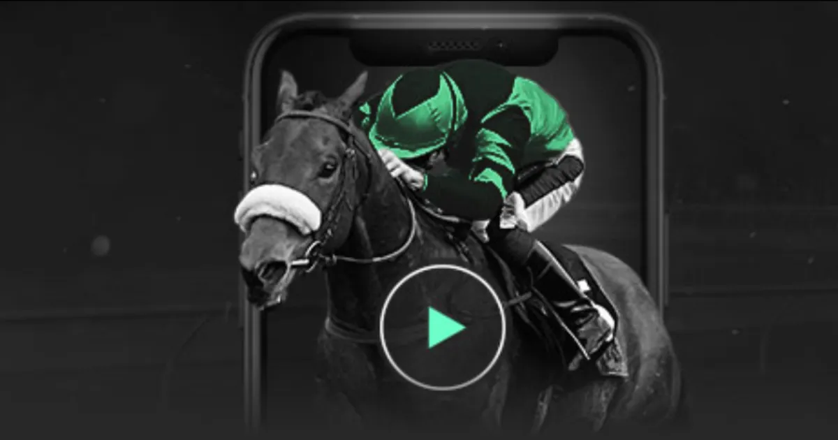 齐尔克泽精,准横传,霍伊伦射门,明发彩票开奖查询,开奖结果,互动预测平台,实时开奖,手机开奖查询