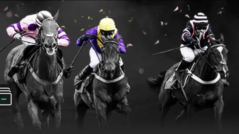 亚残会杭州观：爱心之都无障碍通行，中新网报道