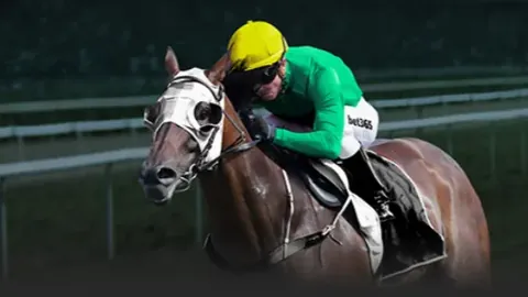 亚残运会吉祥物飞飞受热捧，央视新闻重点播报