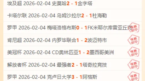 沉浸德乙、英冠、荷甲足球狂欢，全景扫描赛事盛况，热度升温，多维视角深度洞察！